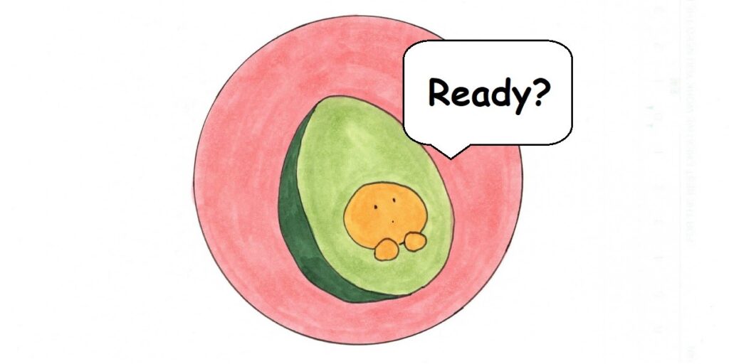 Eichan in an avocado asking "Ready?"
